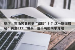 眼下，市场究竟有多“避险”！？这一数据揭秘：黄金ETF“爆买”达千吨的简单