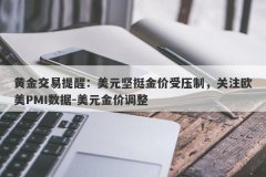 黄金交易提醒：美元坚挺金价受压制，关注欧美PMI数据-美元金价调整