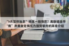 “9月暂停加息”纯属一厢情愿？美联储连传“鹰”声黄金无惧压力强势攀升的简单介绍