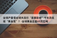 全球产量受全球大流行“显著影响”今年恐出现“黄金荒”？-全球黄金总量6